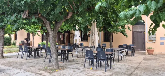 חצר מרוצפת בצל עצים, כיסאות מתכת כהים ושמשיות בד סגורות