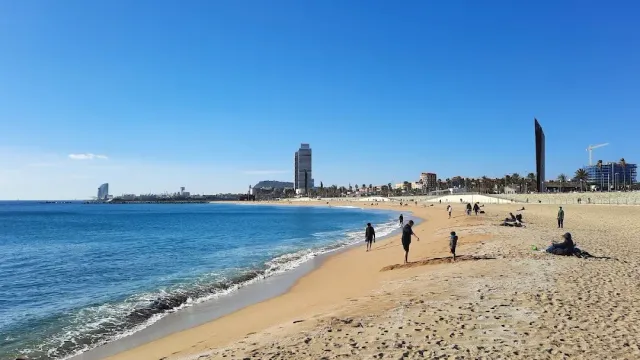 רצועת חוף חולית מול ים כחול, מטיילים בודדים ומגדלי העיר באופק