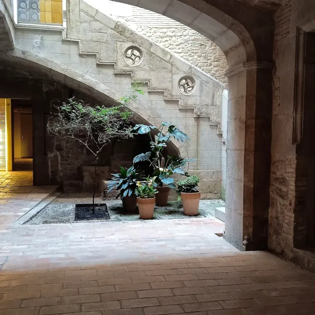 חצר אבן מקומרת עם גרם מדרגות, עציצי חרס וצמחייה ירוקה