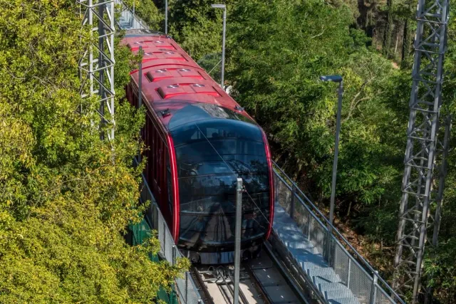 קרון אדום מודרני מטפס על מסילת מדרון תלולה בין עצים ירוקים