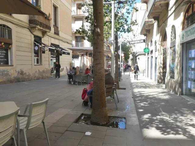 רחוב להולכי רגל עם עצי דולב, שולחנות מרפסת ועוברים ושבים
